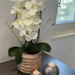 Casa Delle Stelle アパート ツェルマット