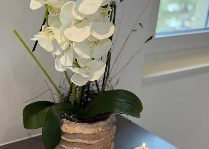 Casa Delle Stelle Apartment Zermatt